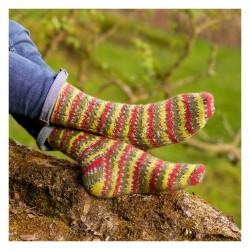 Anleitungsbuch Along the Riverbank mit WYS Signature 4Ply Country Birds Collection
