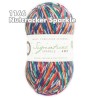 West Yorkshire Spinners - Signature 4ply - Weihnachtskollektion