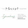 West Yorkshire Spinners - Signature 4ply - The Florist Collection - Feines Garn in zarten Farbtönen