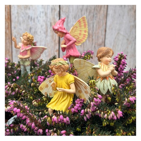 Woolhouse Flower Fairy - Goodie-Artikel