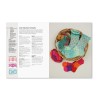 Shetland Lace - Zauberhafte Strickspitzen - Elizabeth Lovick - Stiebner Verlag