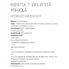 Dreieckstuch Pohjola aus Novita 7 Brothers - Download-Anleitung