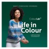 West Yorkshire Spinners - ColourLab DK - Life in Colour